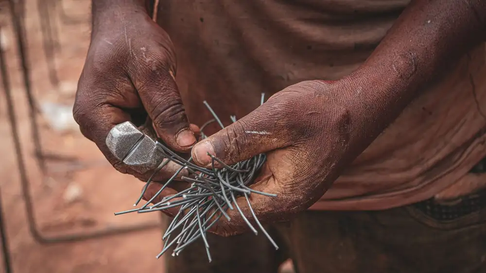 Élaguer un grand arbre près de la maison : quand faire appel à un professionnel